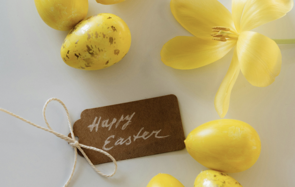 Skærmbillede 2026 03 31 Kl. 15.46.52